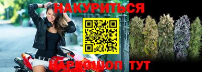 сатива Коммунар