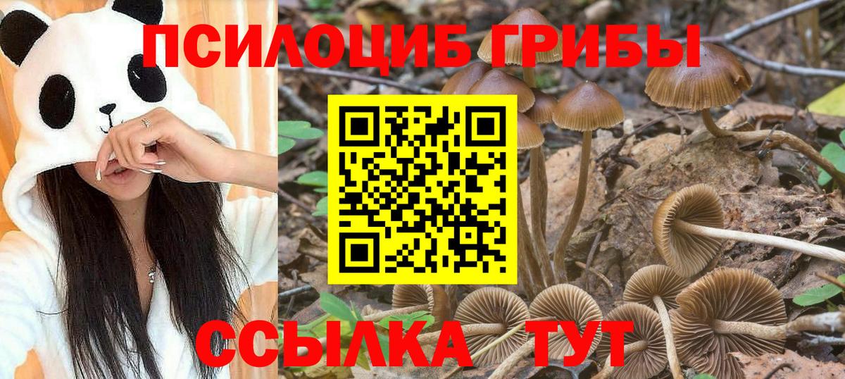 купить наркоту  Галлюциногенные грибы мицелий  Вход с VPN  Уссурийск 