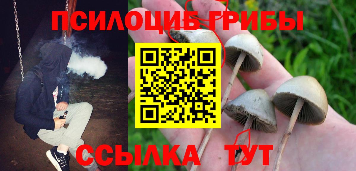 Галлюциногенные грибы ЛСД Уссурийск